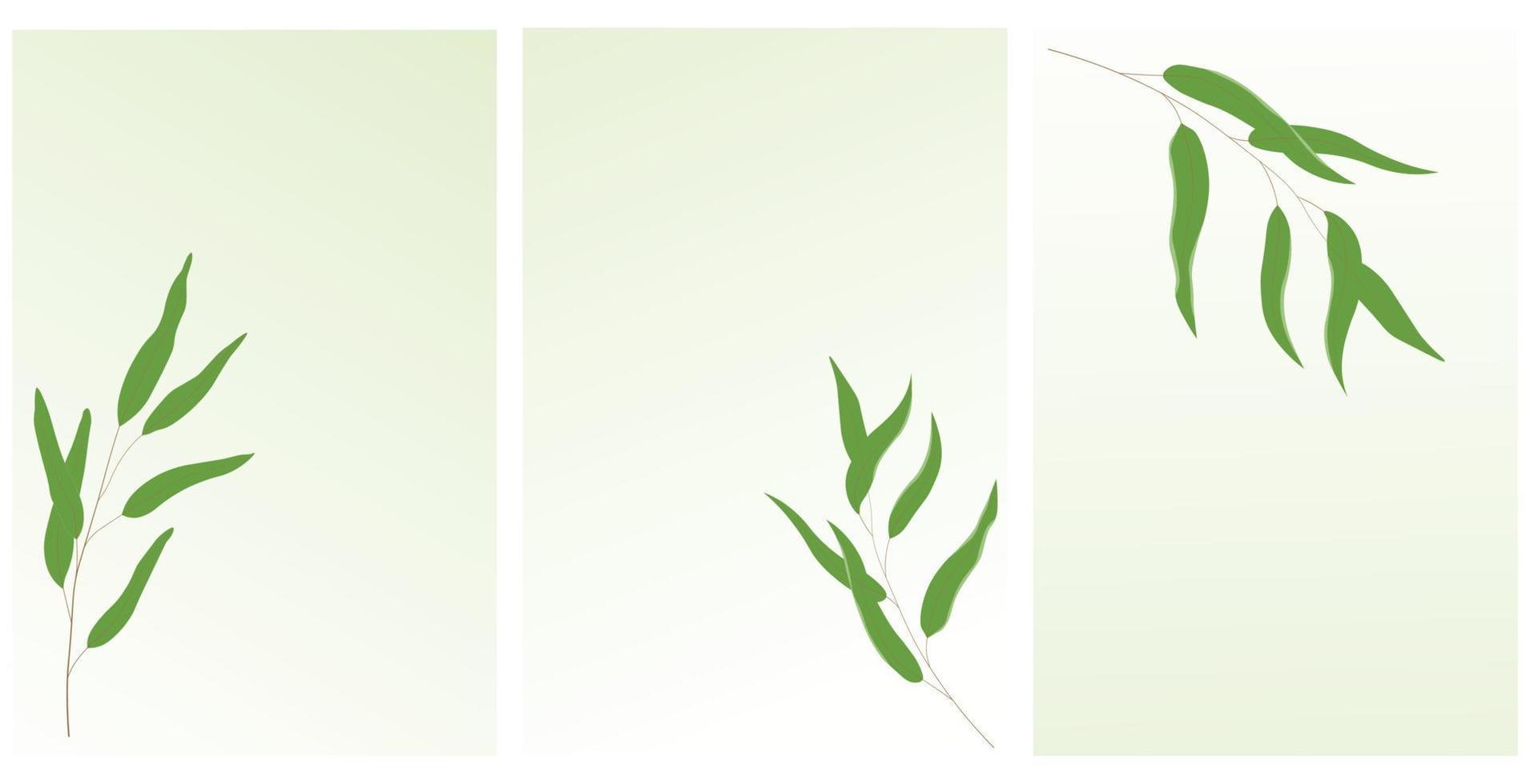 Willow branch. Botanical posters in minimalism. Exquisite green leaves. Vector stock illustration. Isolated on a white background.