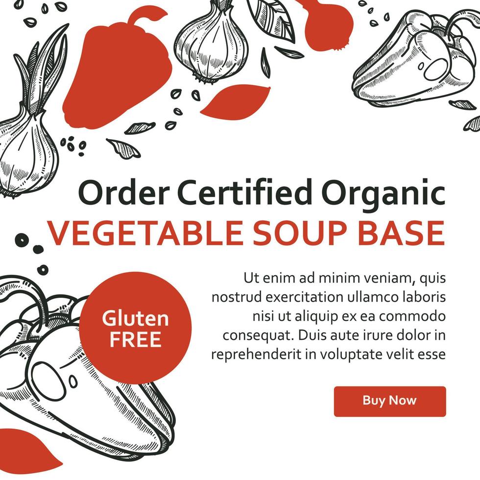 pedir sopa de verduras ecológica certificada base web vector