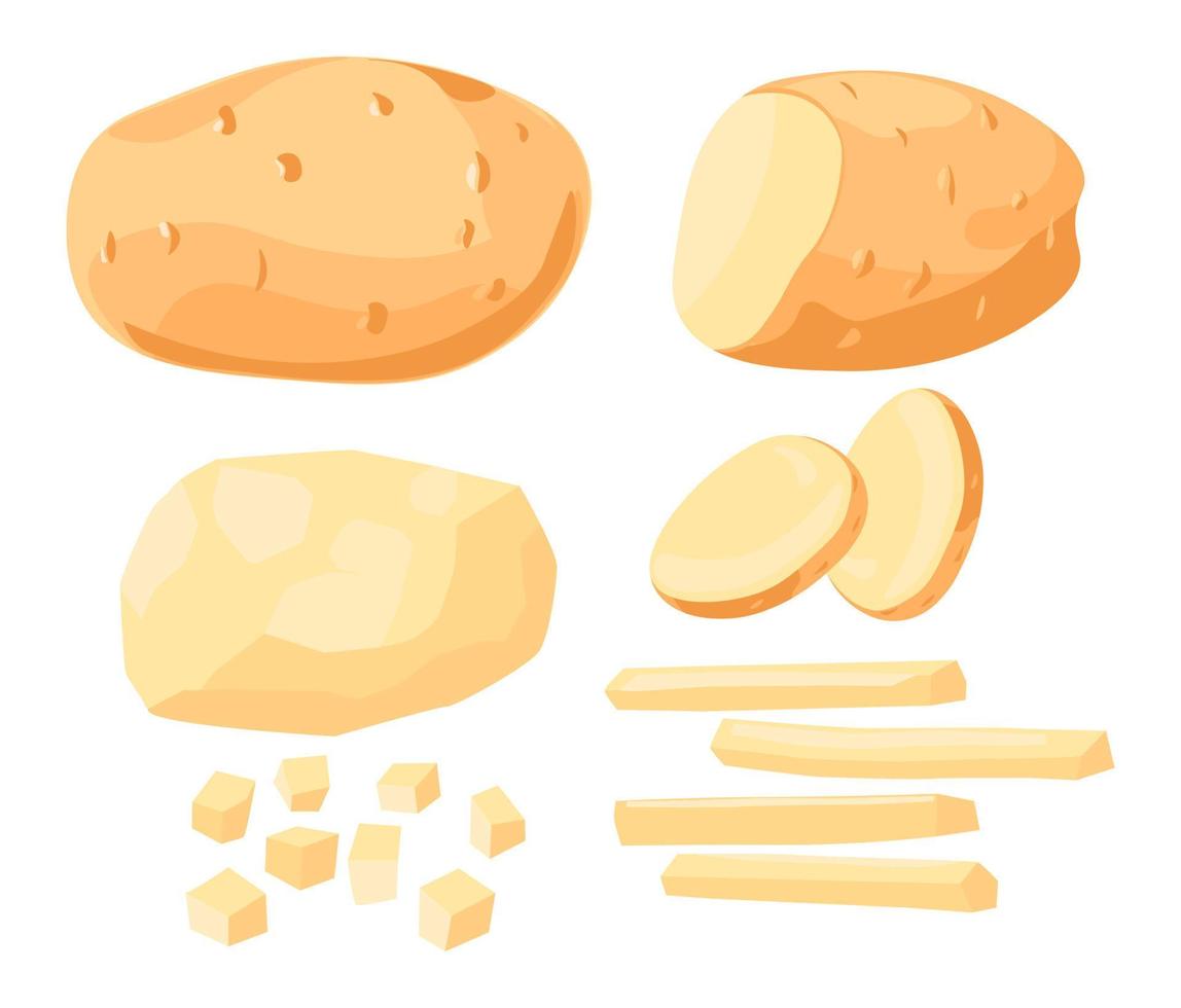 Ripe raw potato, whole and chopped vegetable set vector