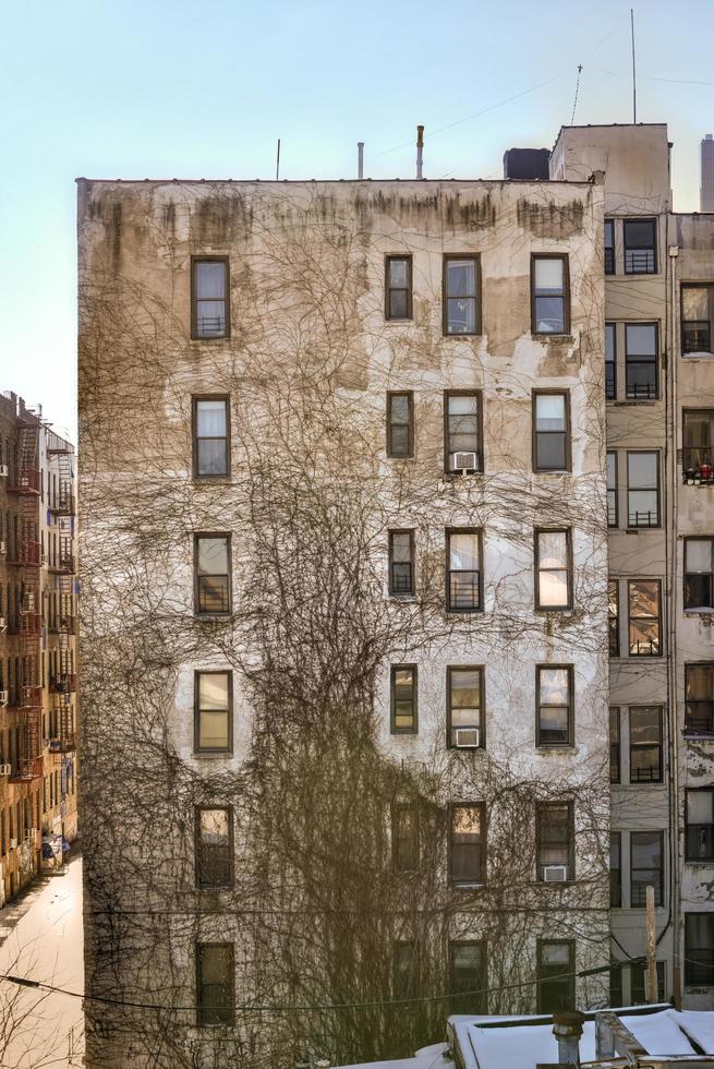 Facade of an ivy covered apartment building in New York City photo