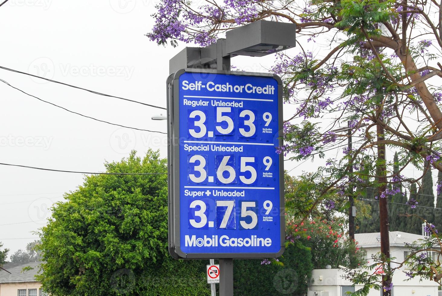 Gas Price Sign photo