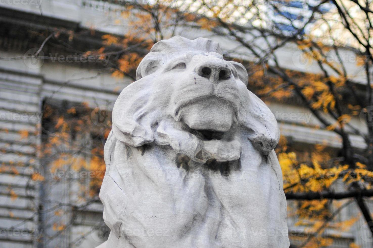 New York City Public Library Entrance in Manhattan photo