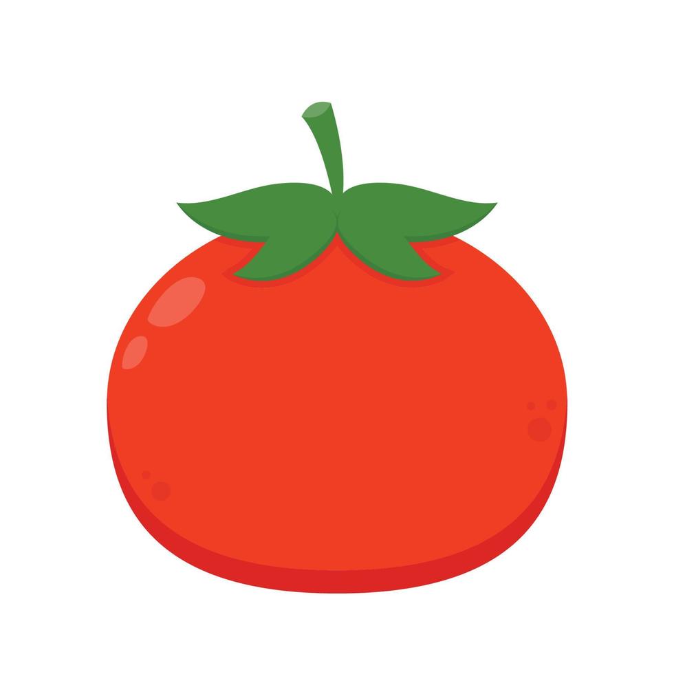 Tomato on white background. Vector illustration of fresh tomato.