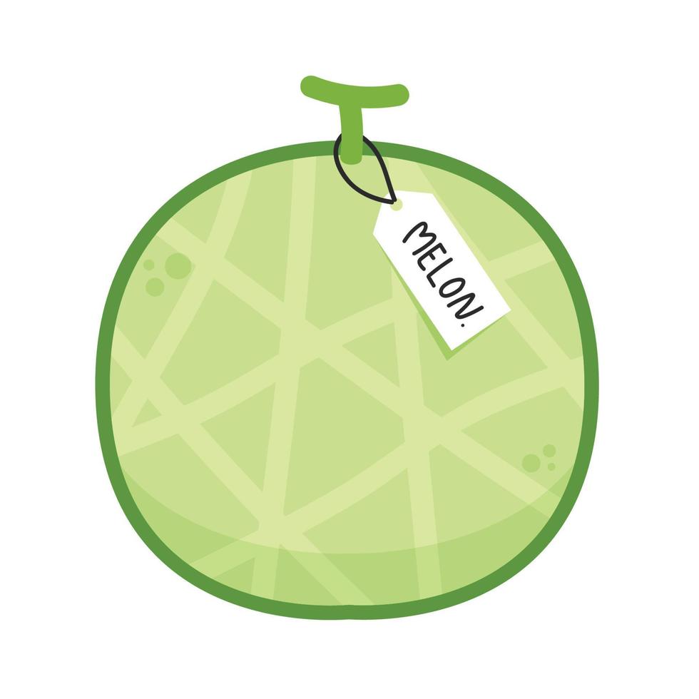Melon vector. melon on white background. wallpaper. symbol. logo design. melon poster. vector