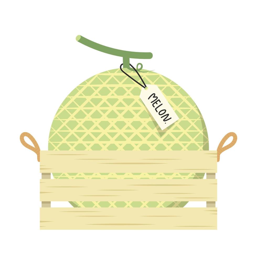 melón en caja de madera. vector de melón melón sobre fondo blanco. símbolo. caja de madera