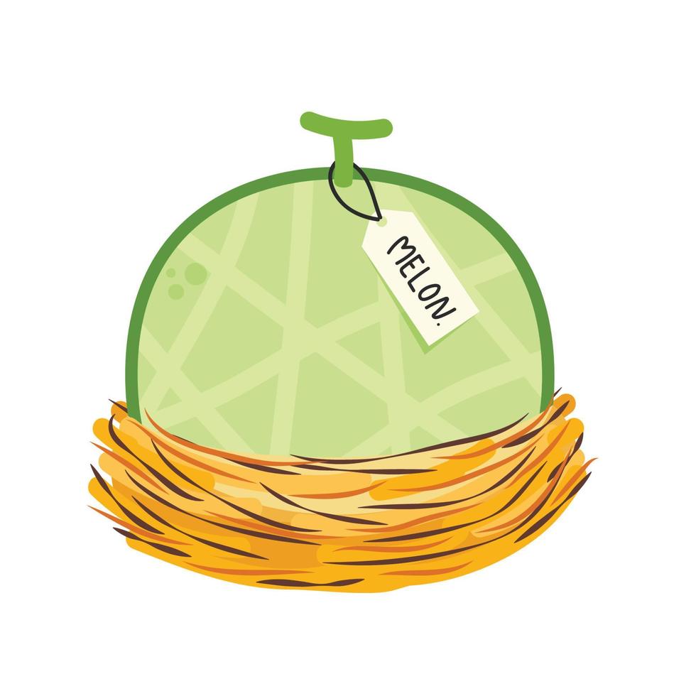 melon vector. melon on white background. wallpaper. symbol. logo design. melon poster. vector