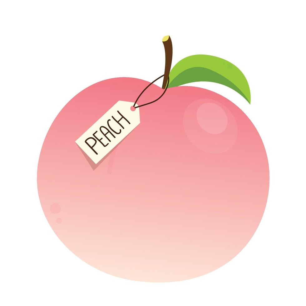 Peach vector. Peach heart vector. Peach on white background. Peach logo design. vector