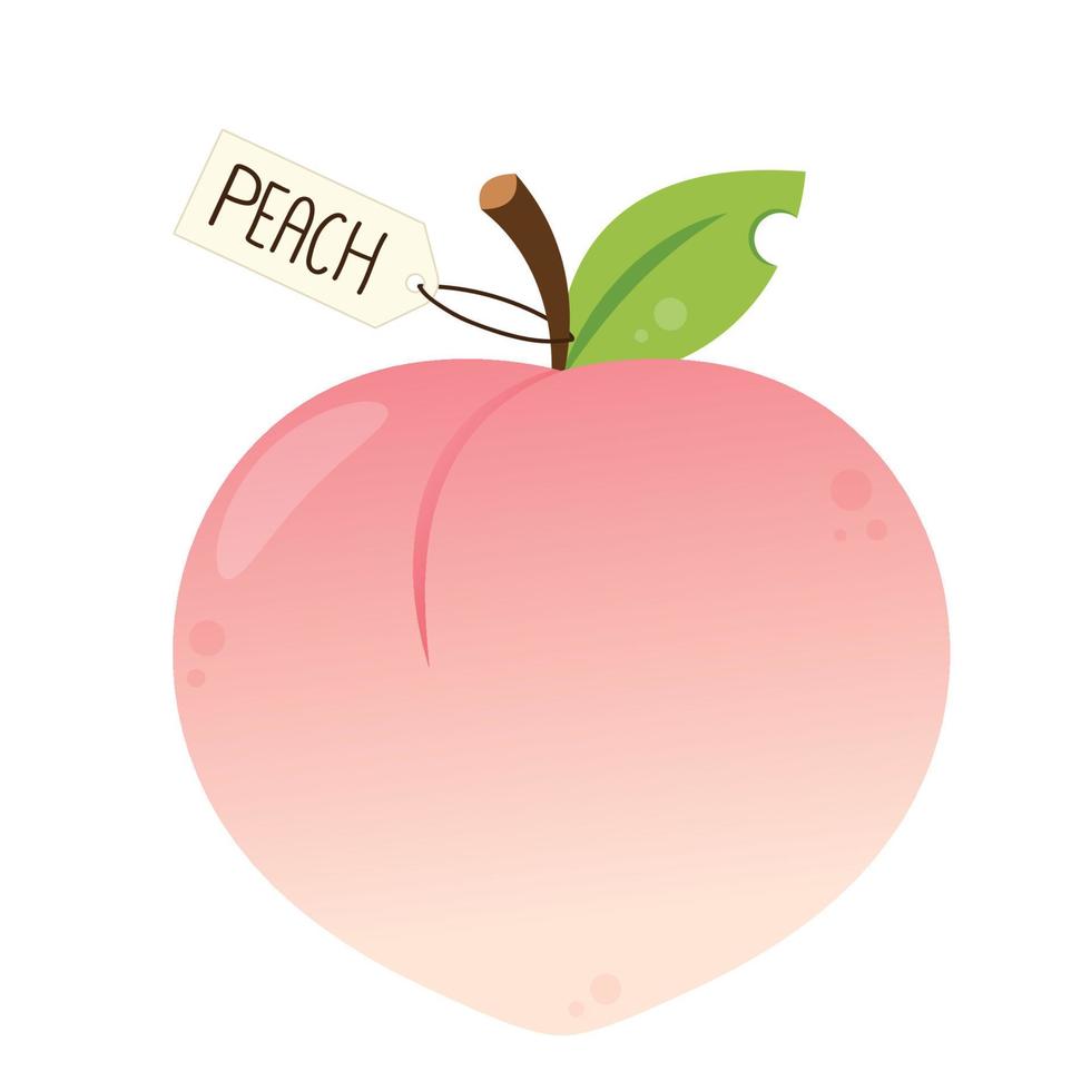 Peach vector. Peach heart vector. Peach on white background. Peach logo design. vector