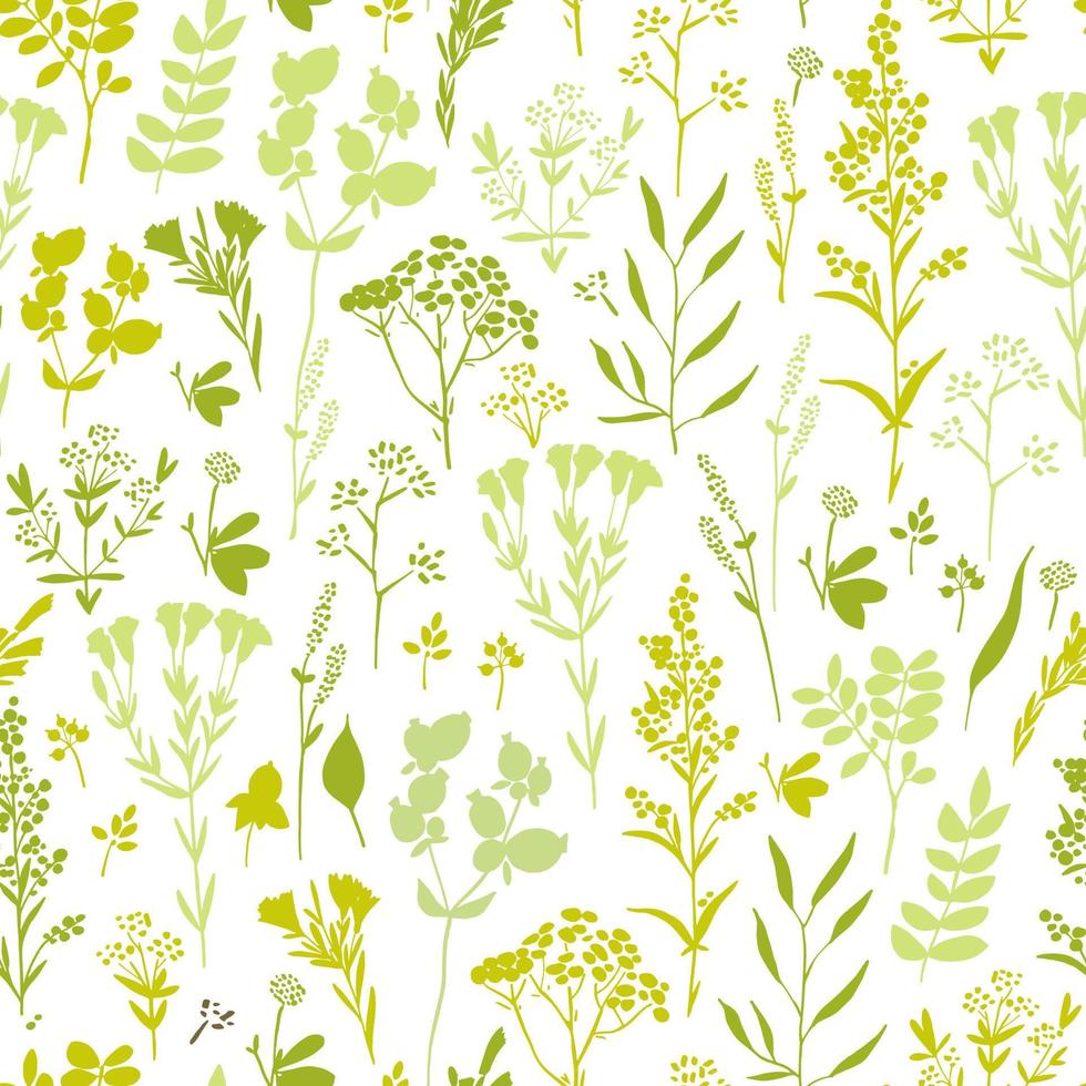 Green floral spring pattern with herbs vector