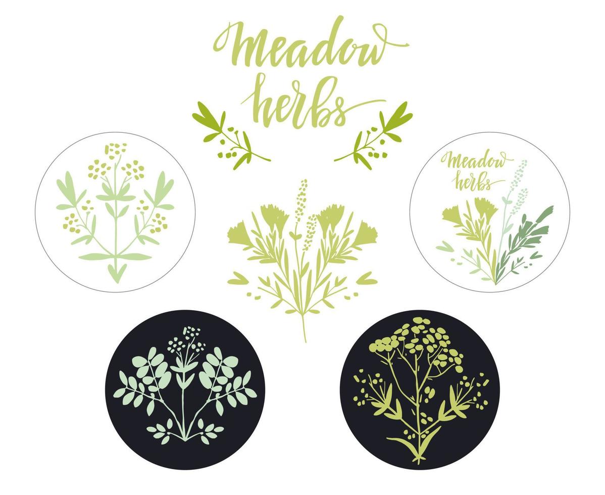 Green floral spring round designs with herbs vector