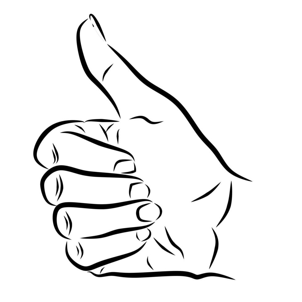 thumbs up line art vector drawing