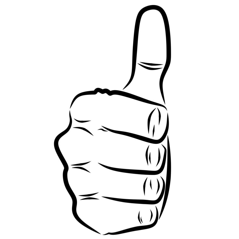 thumbs up line art vector drawing