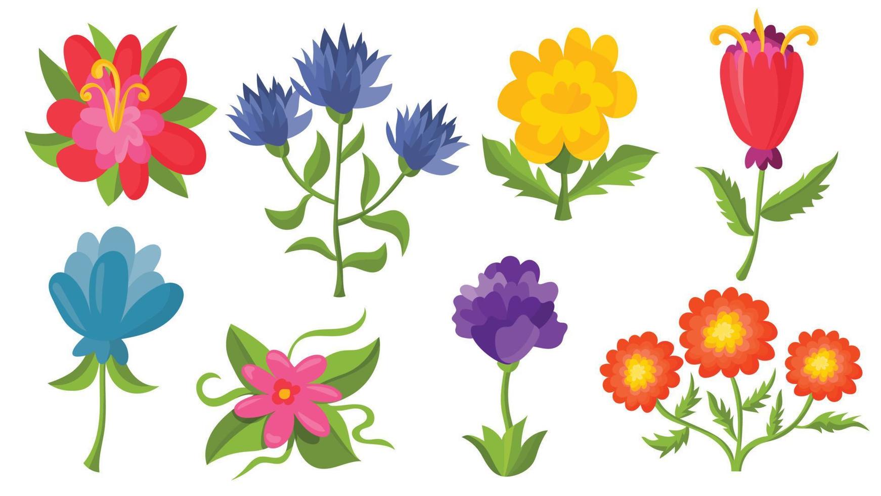 divertido conjunto de flores de dibujos animados, manzanilla, tulipán, rosa aislado sobre fondo blanco. estilo infantil vector