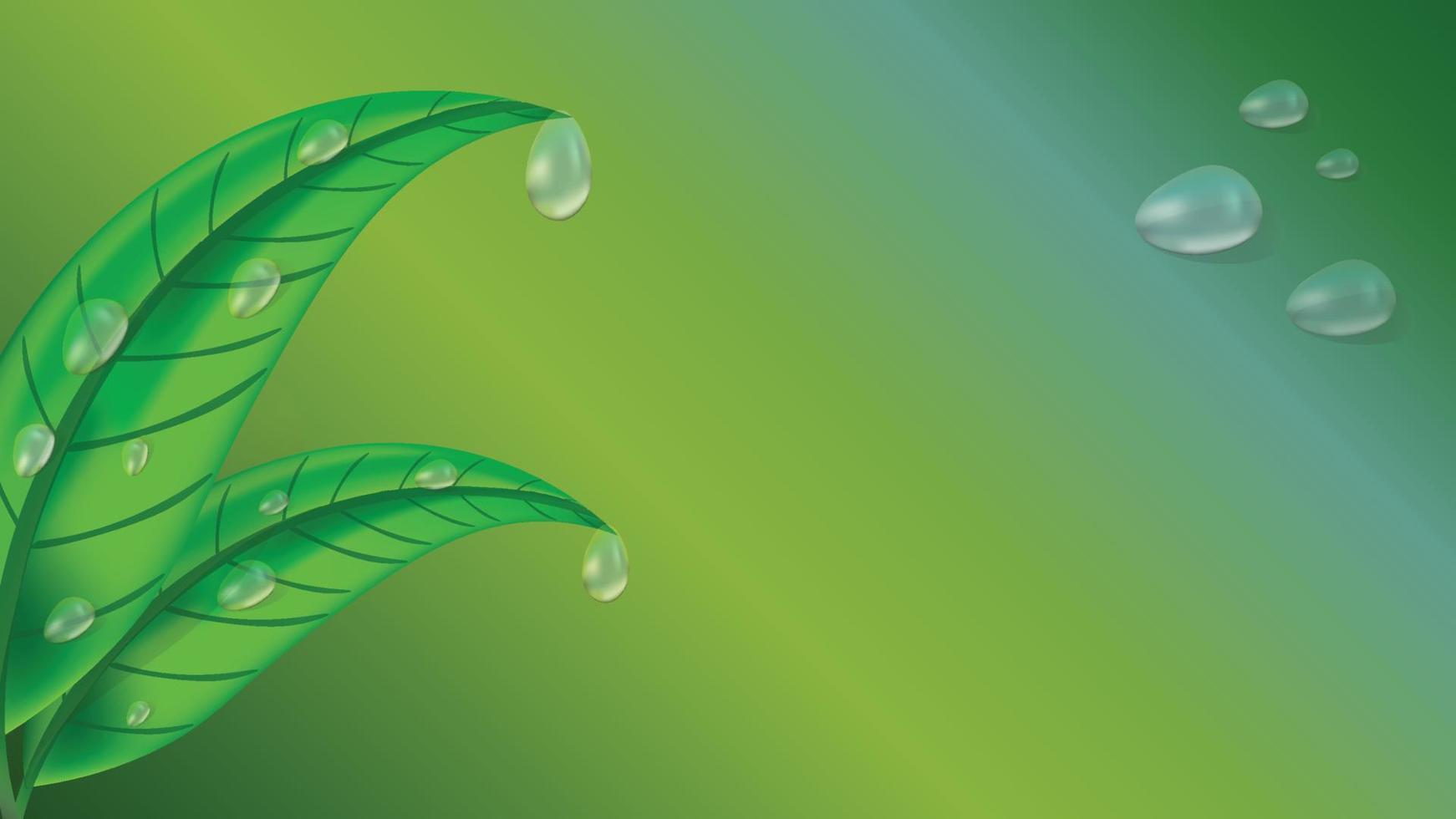 hoja verde fresca de té, planta con gotas de agua en estilo realista 3d aislado sobre fondo verde. gota de rocío. vector