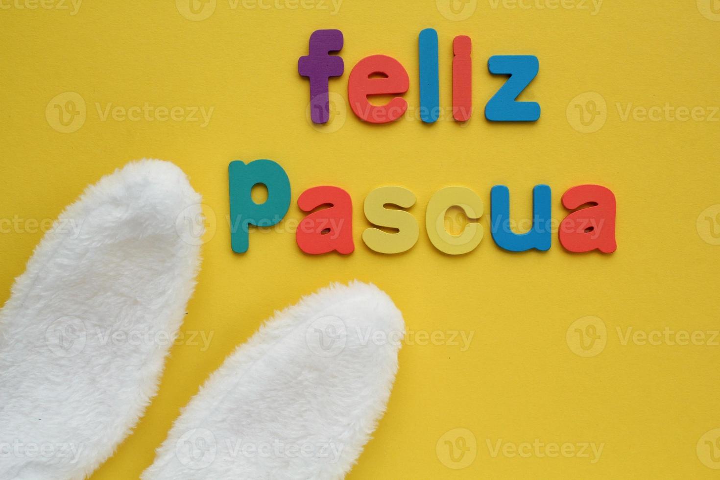 Feliz Pascua, Happy Easter on spanish colored lettering and white bunny fur ears on yellow background. Holiday spring composition creative concept. Postcard, banner, poster idea. Top view, flatlay photo