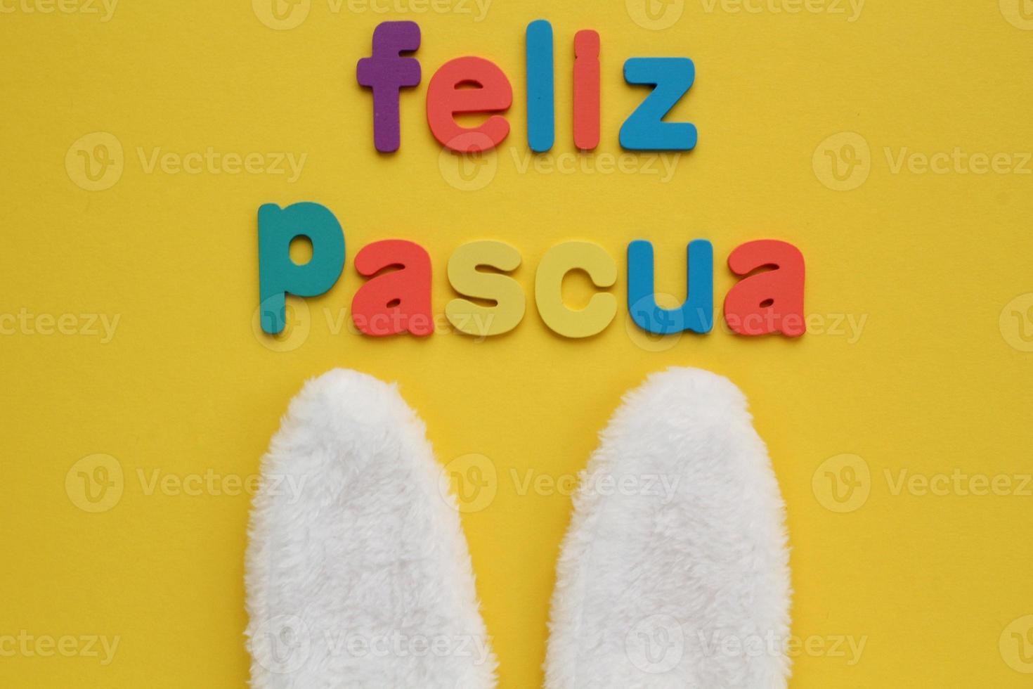 Feliz Pascua, Happy Easter on spanish colored lettering and white bunny fur ears on yellow background. Holiday spring composition creative concept. Postcard, banner, poster idea. Top view, flatlay photo