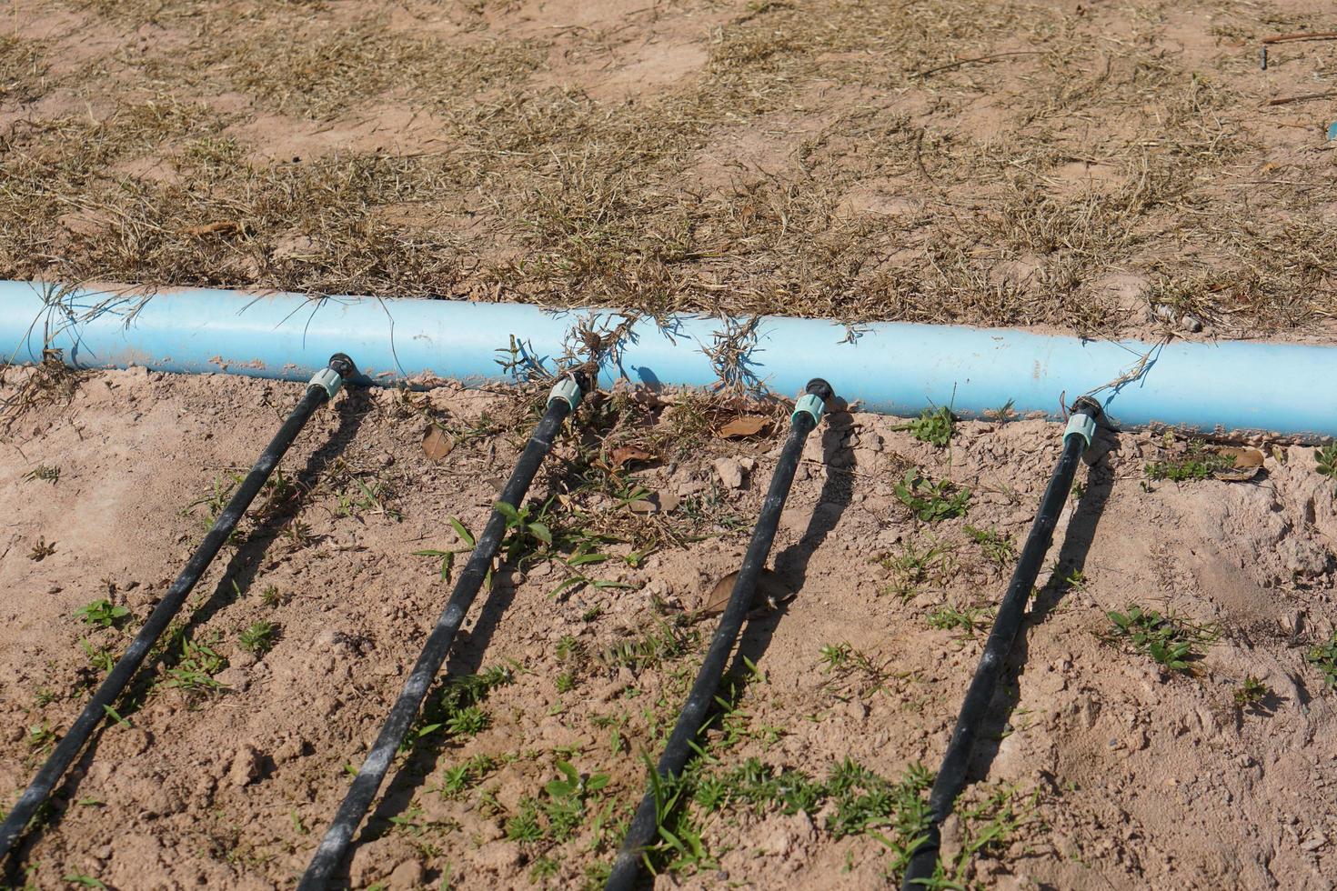 water system in flower garden photo