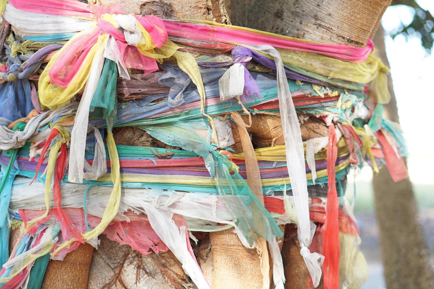 Multi-colored fabric wrapped around the tree photo