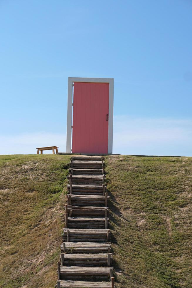 Pink door on green lawn photo