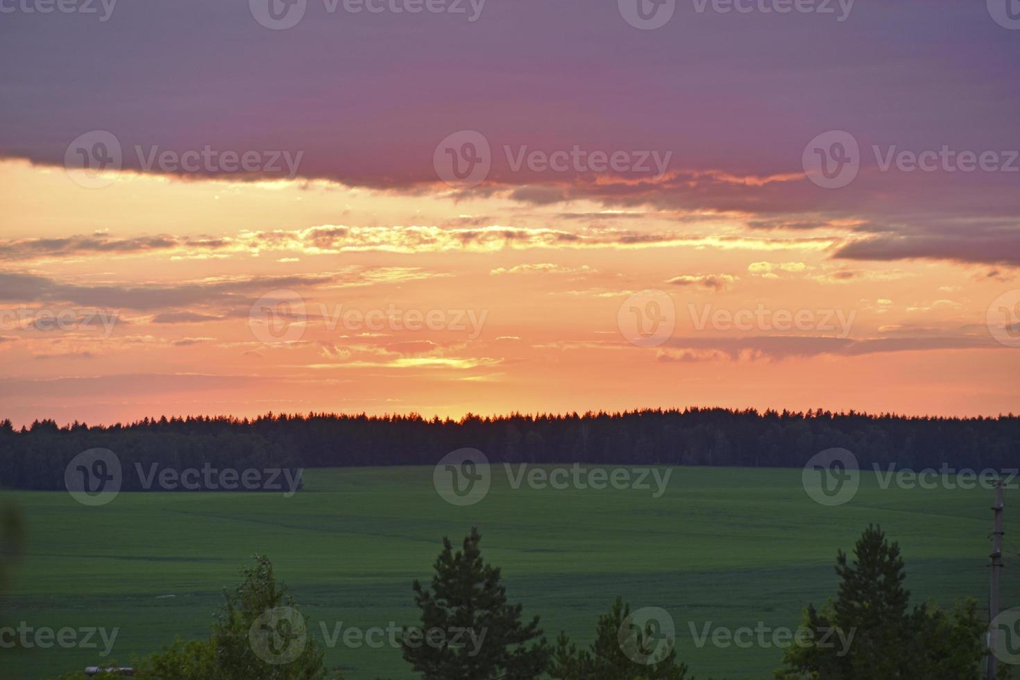 A beautiful sunset sun and a horizon with a forest. a beautiful field and a summer red sunset. photo