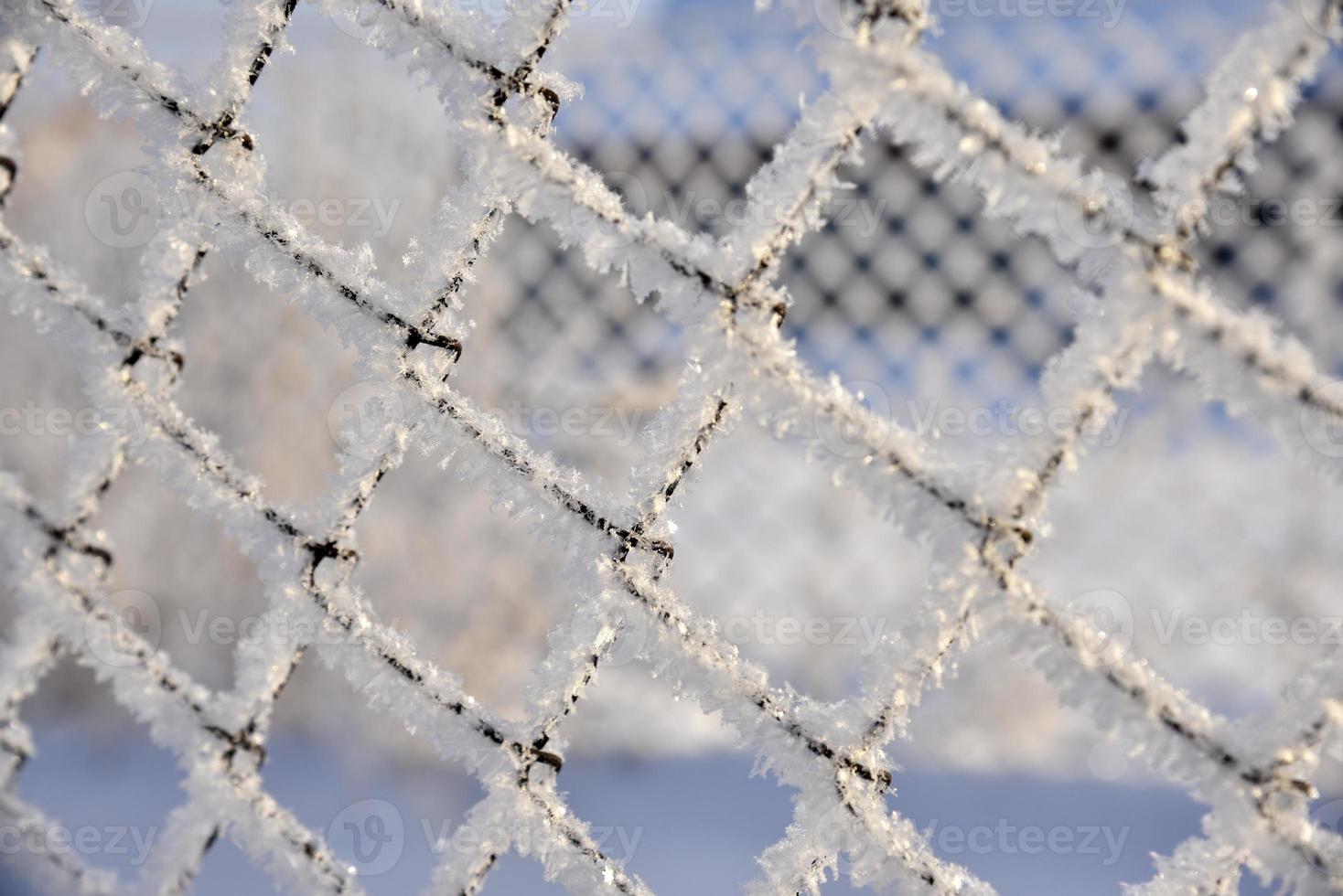 Snow frost on the iron fence of the fence. Mesh netting. Snow patterns on iron. photo