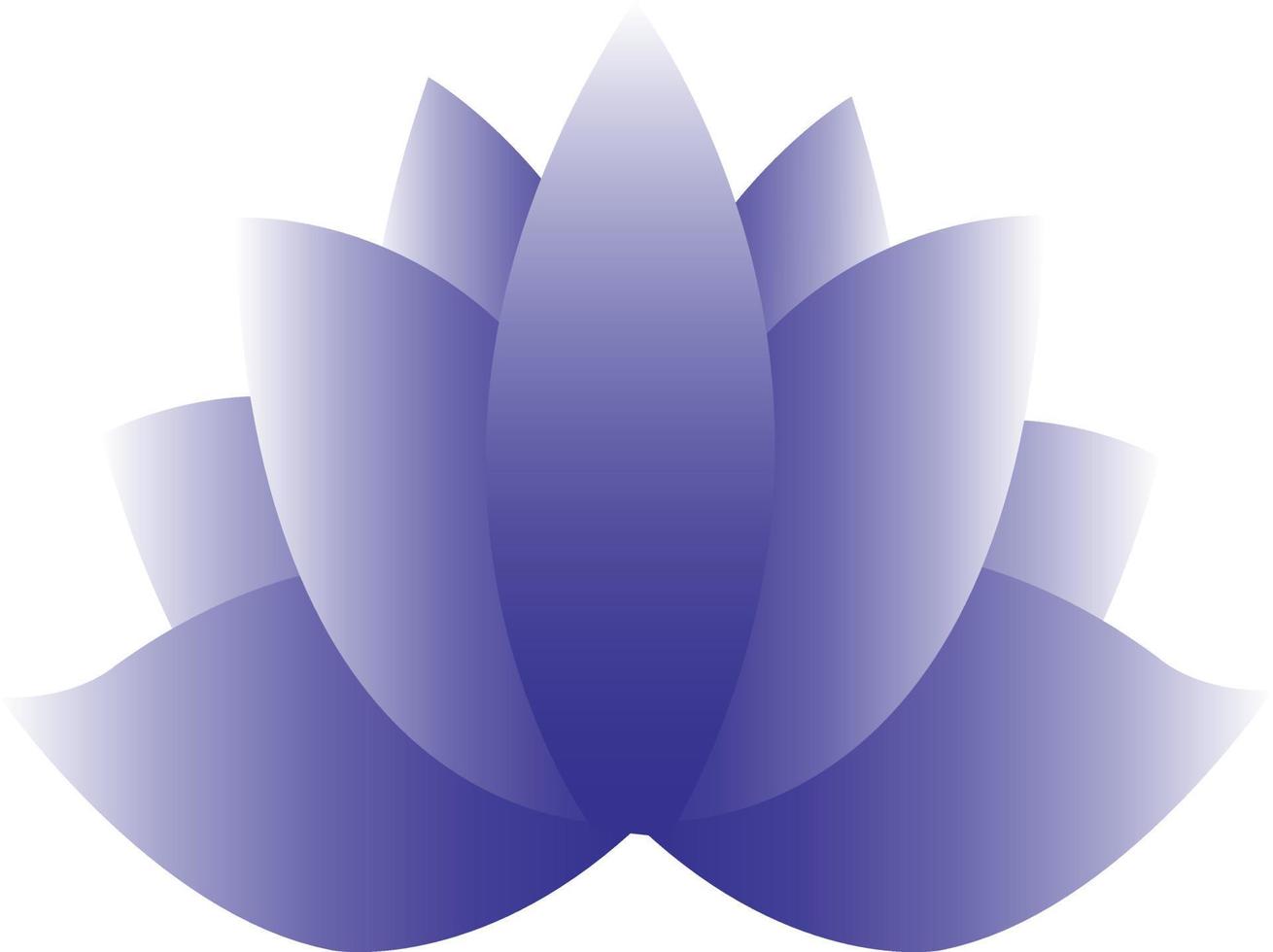 design illustration lotus vector