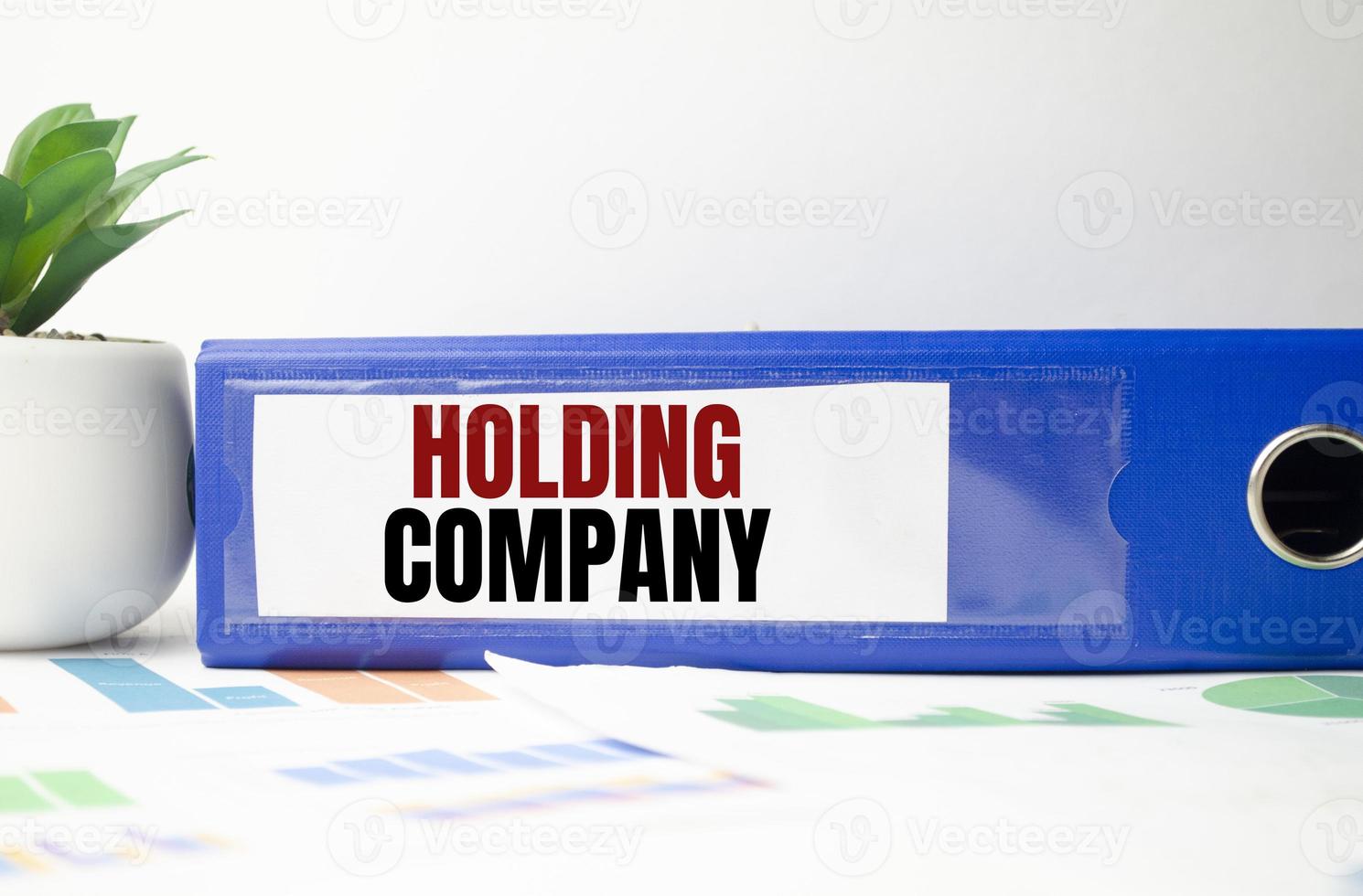 holding company words on blue paper folder and charts photo