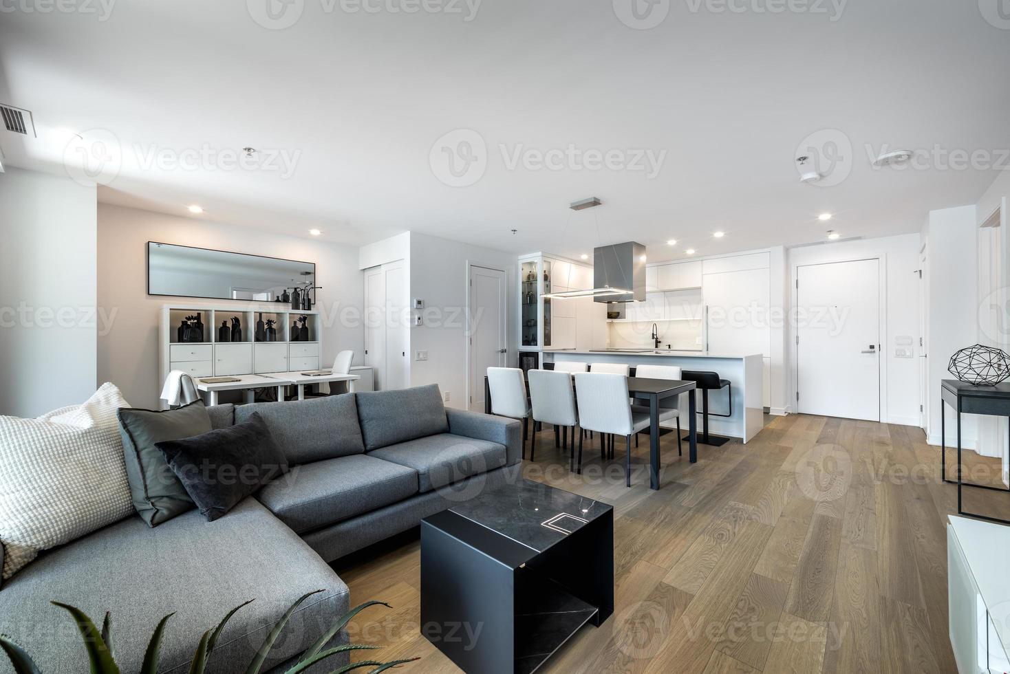 Modern apartment in new buliding in Montreal, Griffintown, Canada, fully staged and furnished photo