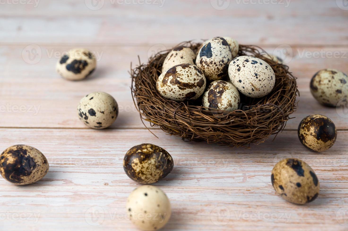 happy easter banner. Quail eggs in the nest photo