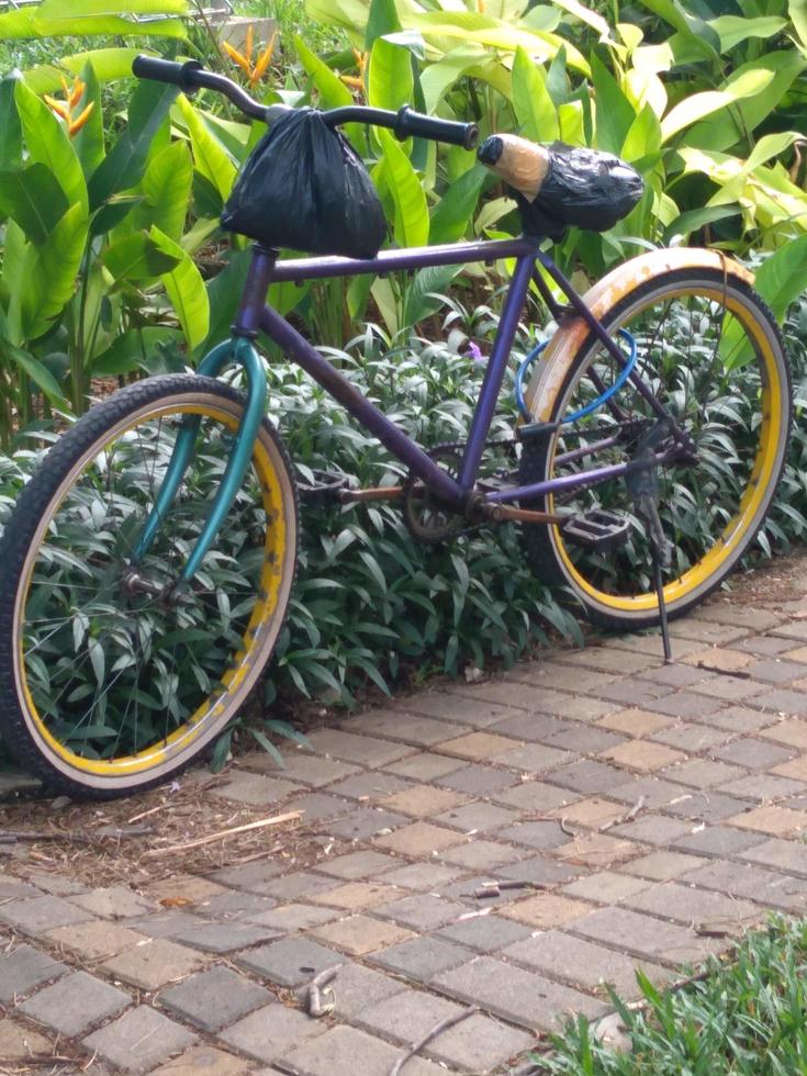 type of bicycle that is old school session five photo