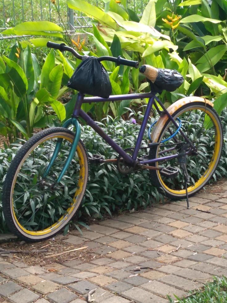 tipo de bicicleta que es de la vieja escuela sesión dos foto