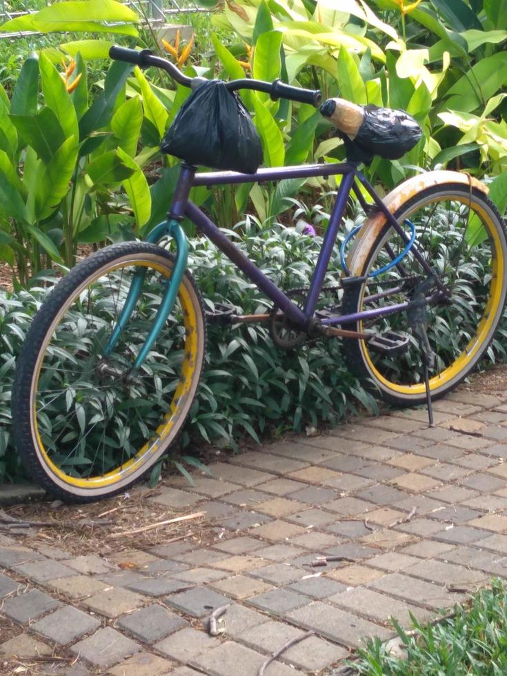type of bicycle that is old school session four photo