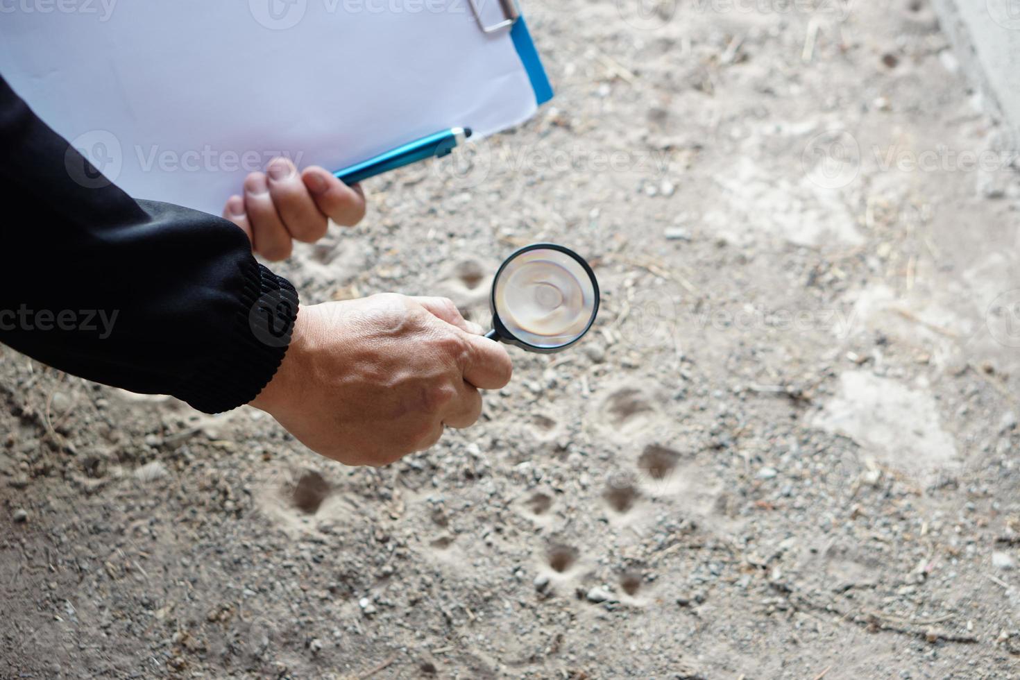 Closeup hand holds magnifying glass to explore tiny insects in holes on ground. Concept, examine, explore, research nature or biological organisms. Study about insects behavior. Science tool. photo