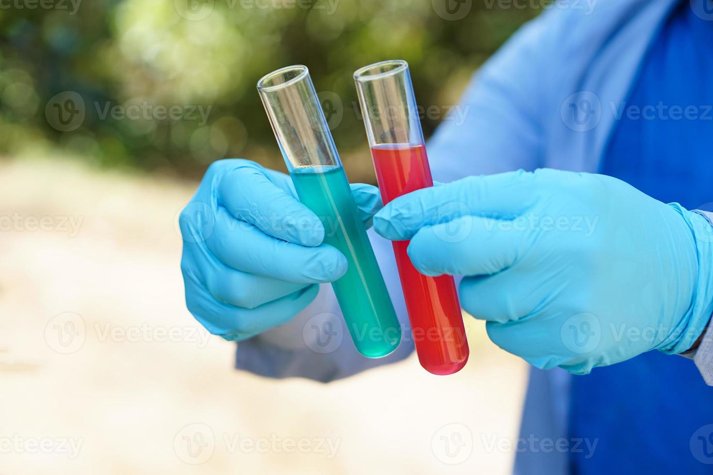 las manos cerradas usan guantes azules y sostienen tubos de ensayo que contienen sustancias líquidas rojas y azules en su interior. experimento científico. extraer color. concepto, lección de química. laboratorio foto