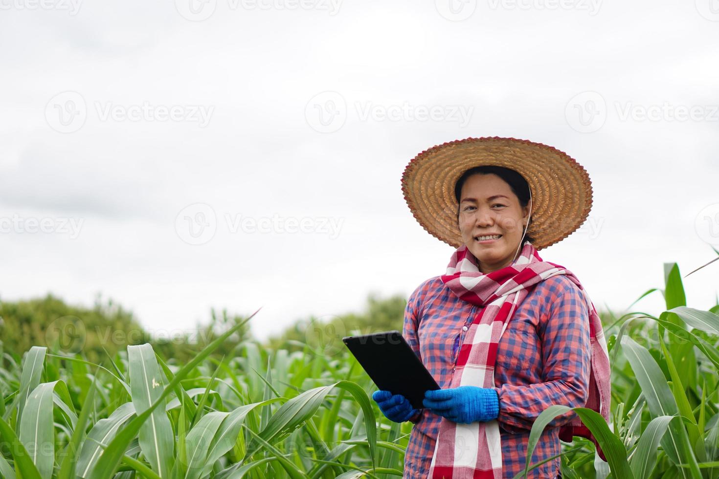 retrato de una agricultora asiática usa sombrero, camisa a cuadros, sostiene una tableta inteligente en el jardín de maíz. concepto, investigación agrícola. agricultor inteligente. uso de tecnología para el manejo y desarrollo de cultivos. foto