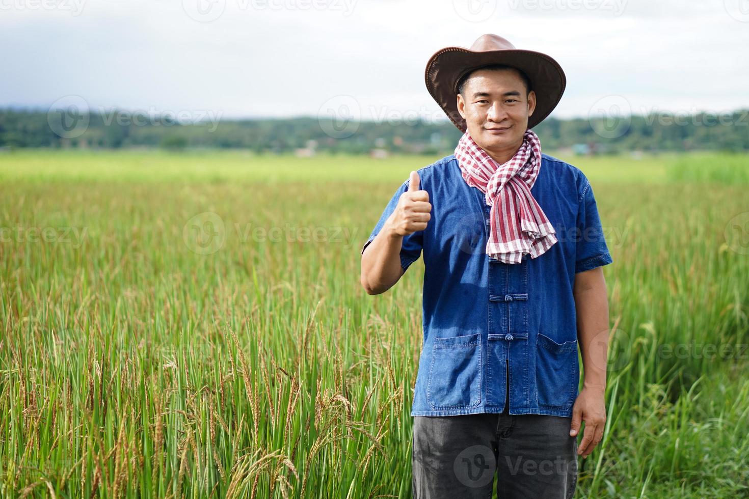 Portrait of Asian man farmer wears hat, blue shirt, thumbs up,  stands at paddy field. Concept, Agriculture occupation. Thai farmers grow  organic rice. Copy space for adding text . photo