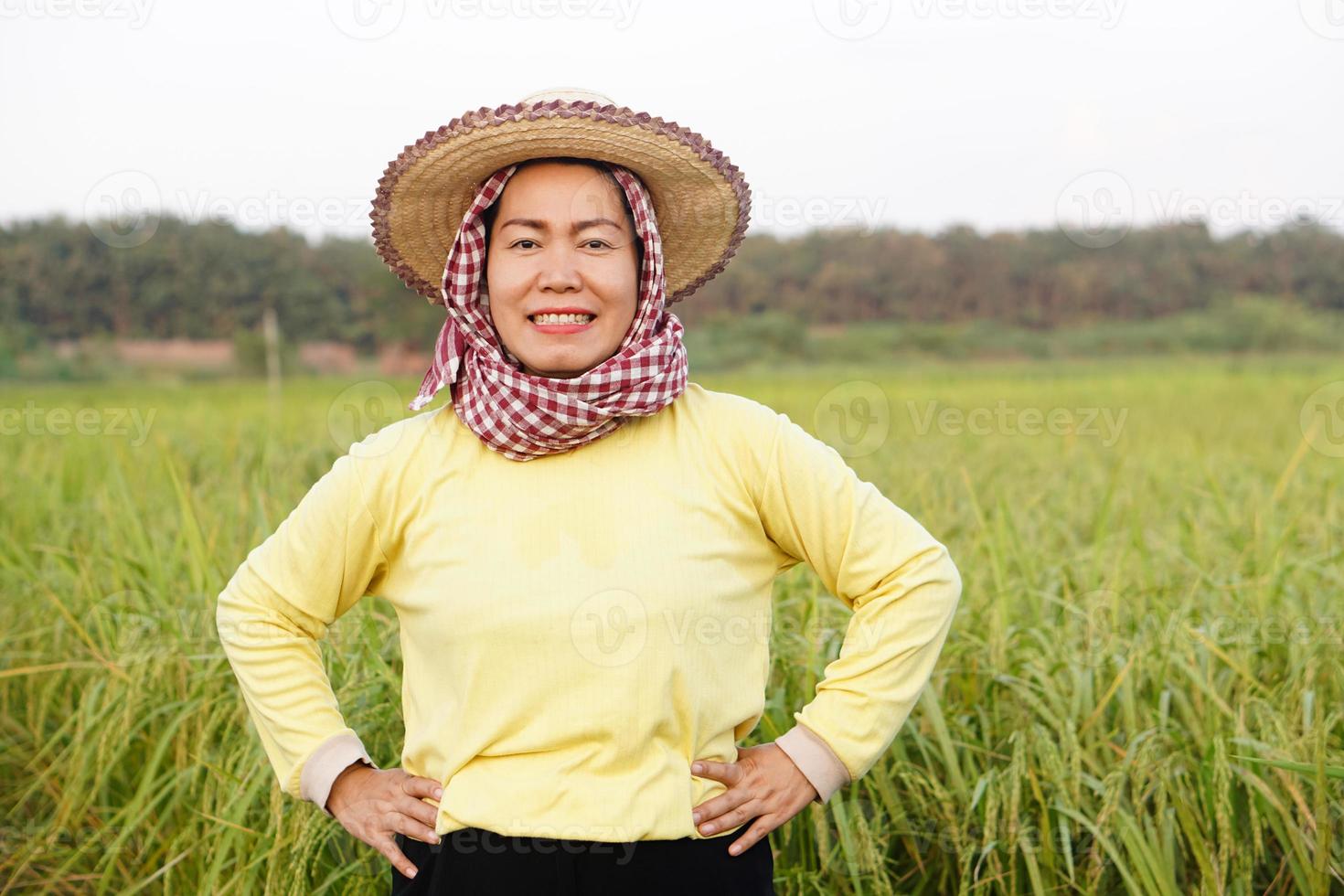 Happy Asian woman farmer wears hat, yellow shirt, Thai loincloth covered her head, put hands on hips, feels confident at paddy field. Concept, agriculture occupation, farmer grow organic rice. photo