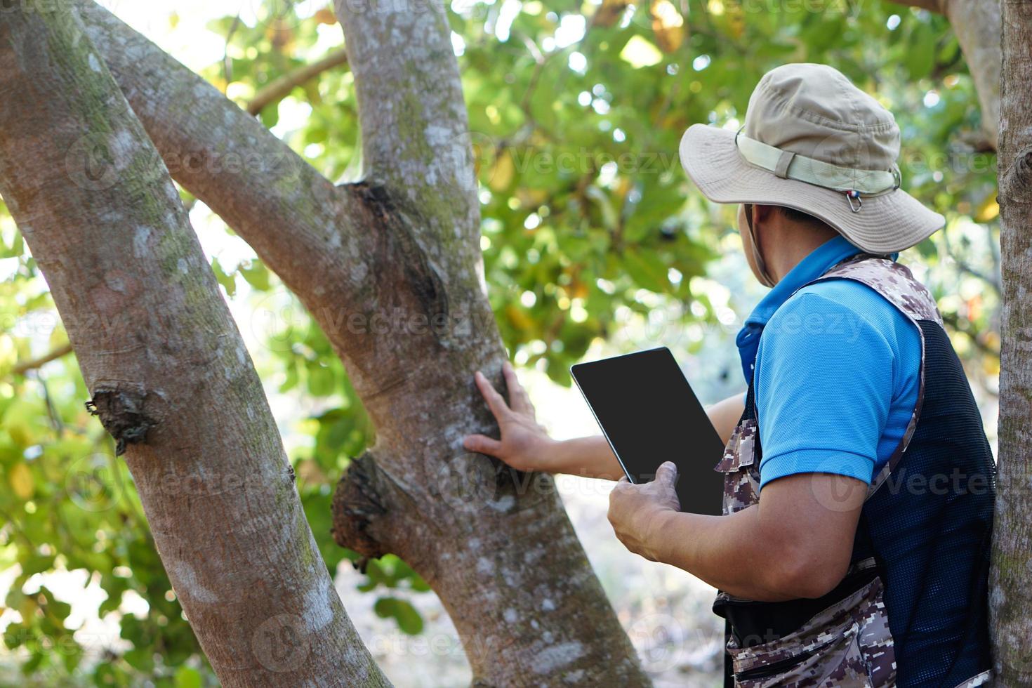 Asian man botanist is in forest, hold smart tablet to survey and collect information of botanical plants by using smart tablet. Concept , adventure, field research about environment. photo