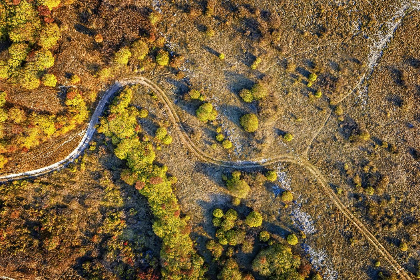 aerial top view from drone of park autumn landscape with trees, colorful lawn, and walking path photo