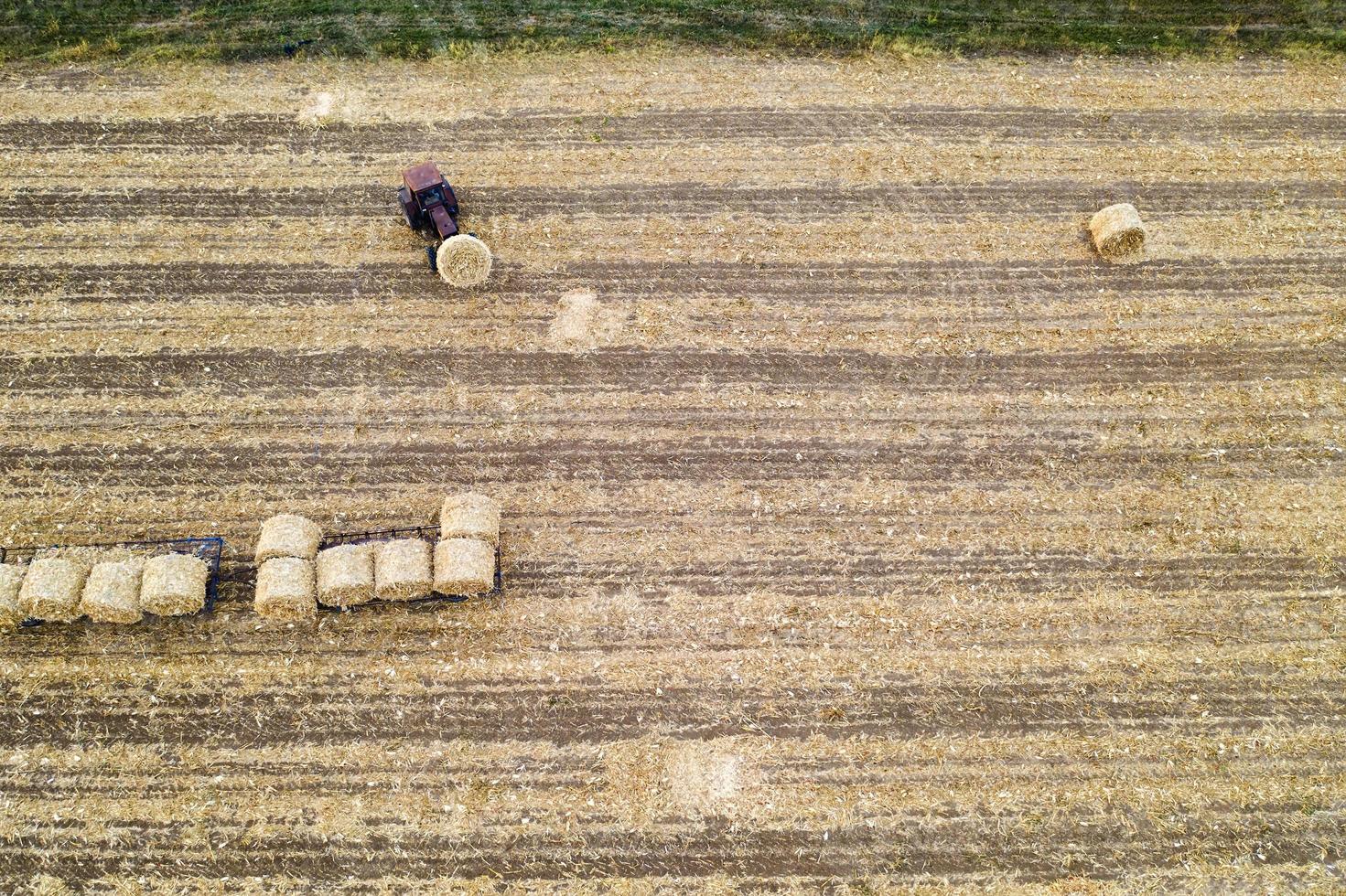 Aerial view from drone to the tractor collect bales of hay after harvesting on a wheat field. photo