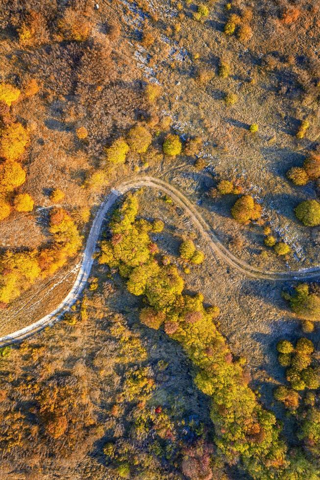 aerial top view from drone of park autumn landscape with trees, colorful lawn, and walking path. Vertical view photo