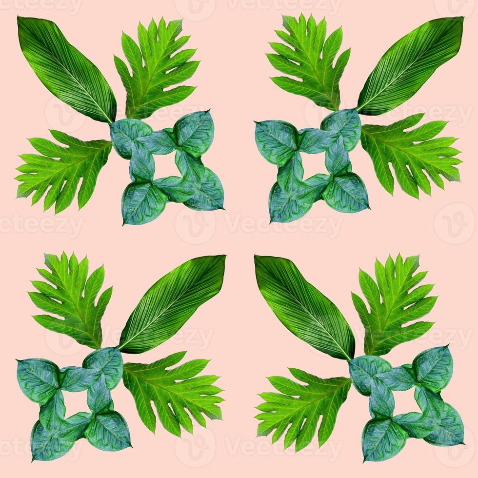 tropical exotic plant leaf,green leaves pattern are made new color for nature concept,abstract background for textile and fabric design,isolated on pink background photo