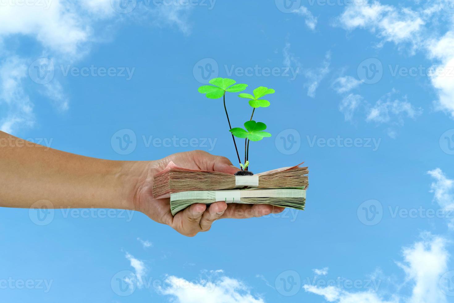 Hand holding banknotes with tree on white cloud and blue sky background,Lucky economic growth concept photo