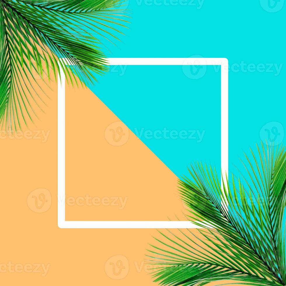 Green palm leaves pattern for nature concept,tropical leaf on orange and teal paper background photo