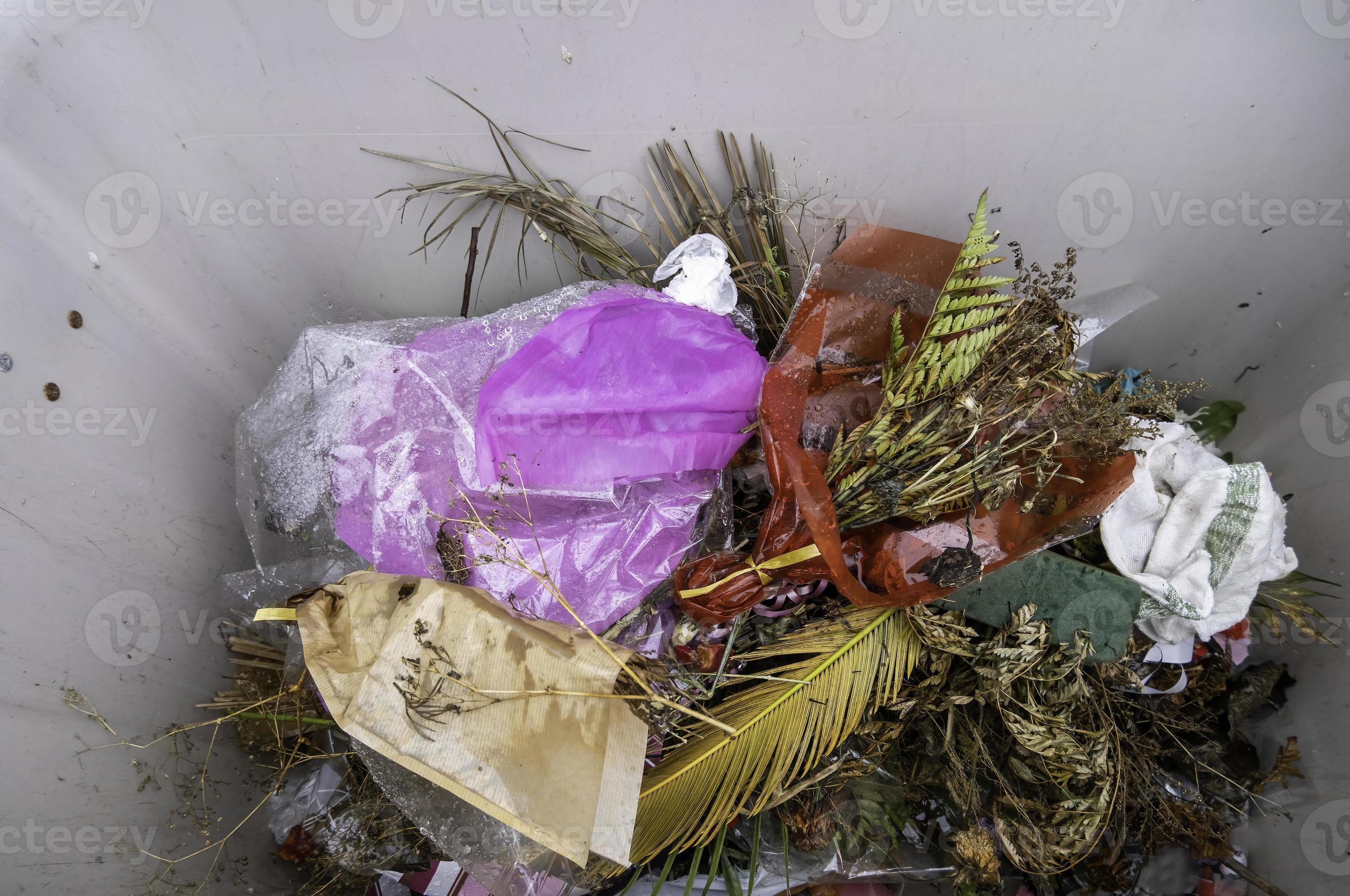 Flowers in a container 17681434 Stock Photo at Vecteezy