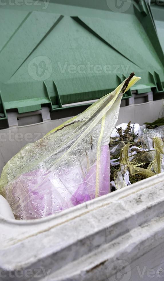 Flowers in a container photo