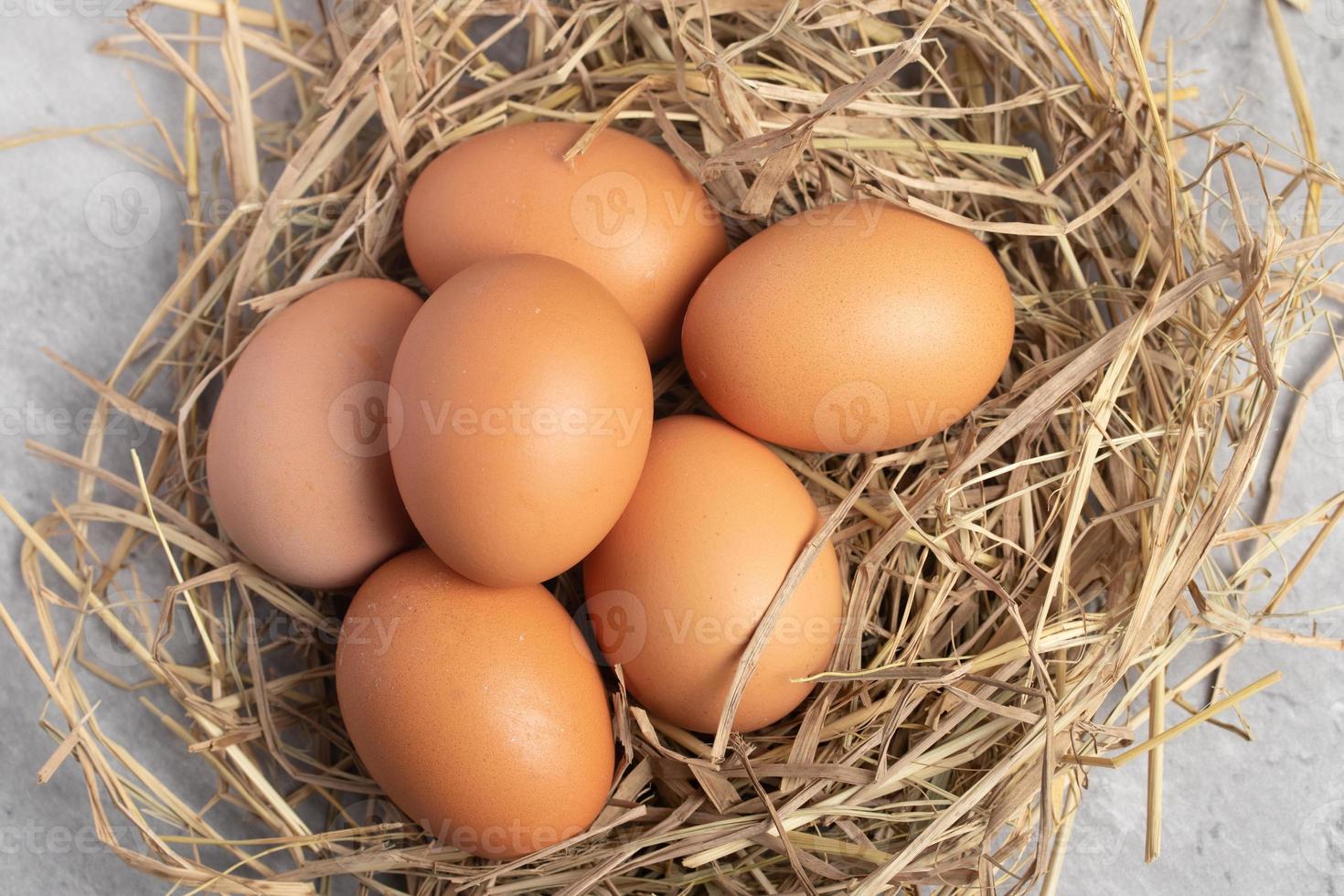 huevos de pollo frescos en paja, fondo gris. copie el espacio foto