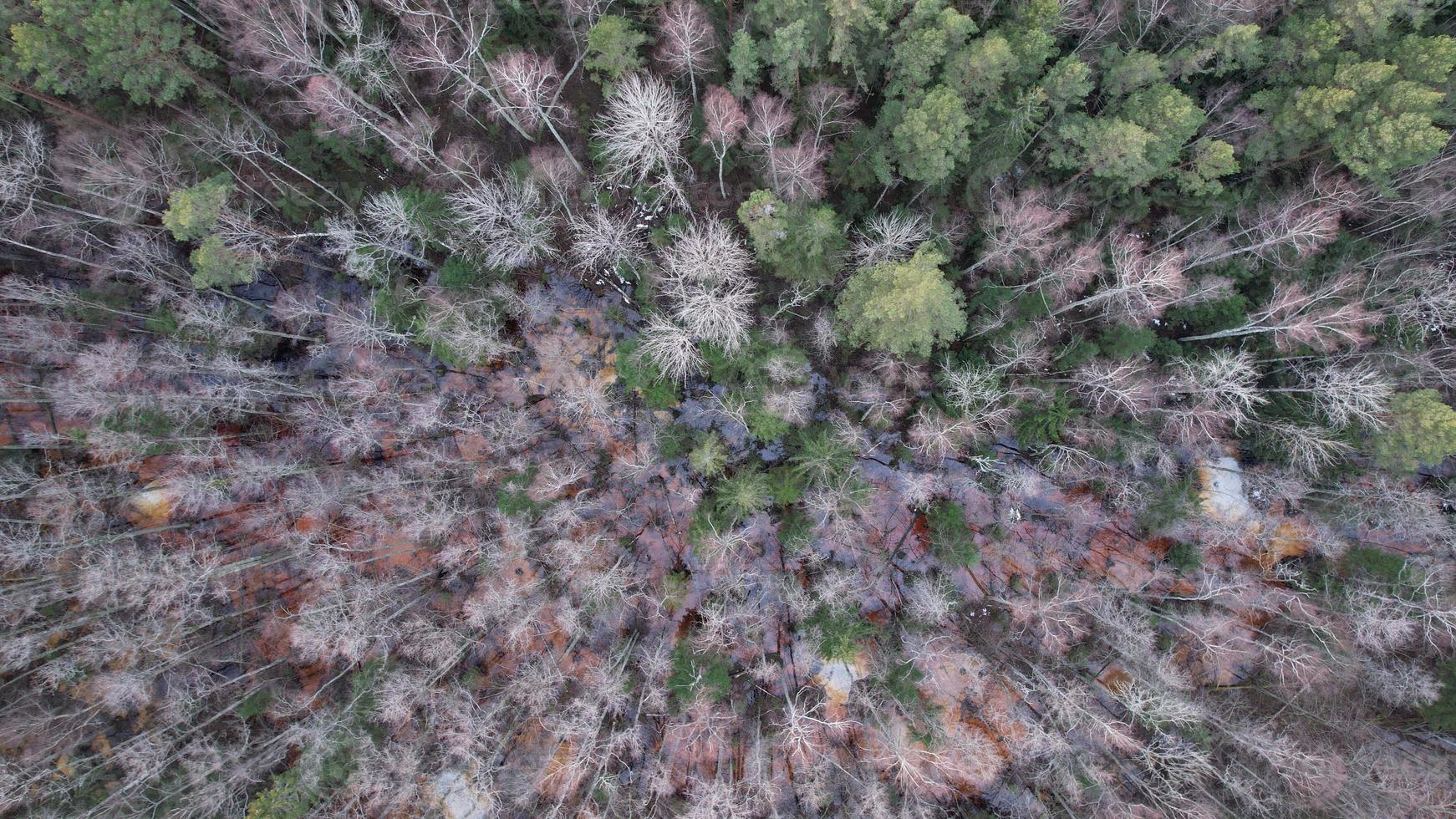 Forest Photography, Nature From Up, Trees In Swamp, Hiker Trail, Travelling, Drone Photo, Dji jpg, Beautiful Scenery, Nature photo
