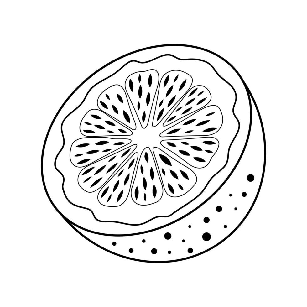 Half an orange. Juicy fruit Hand drawn illustration in doodle style. vector