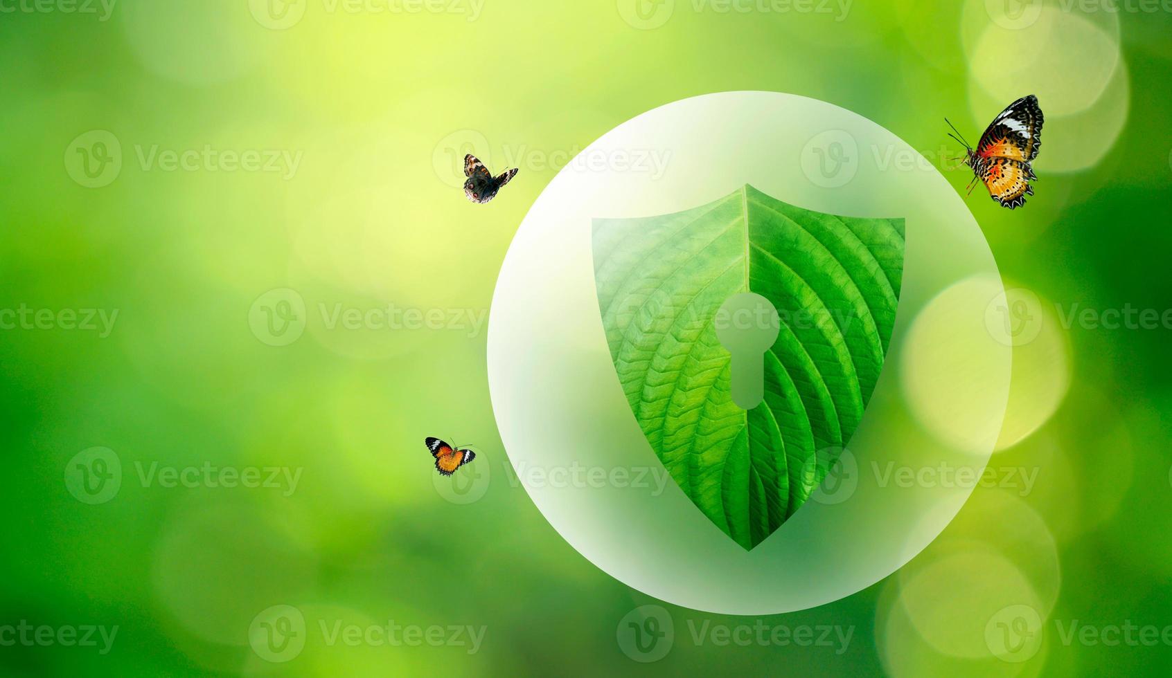 The green shield protects nature and protects the environment. photo